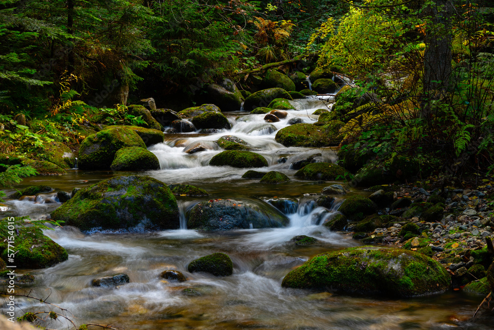 waterfall in the forest