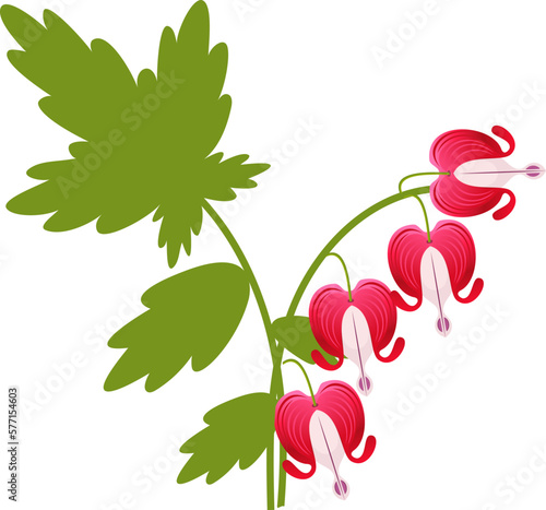 Bleeding heart flowers isolated realistic vector illustration on white.