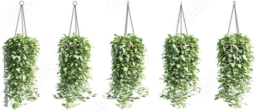 3d rendering of hanging plant in pot, for illustration and visualization