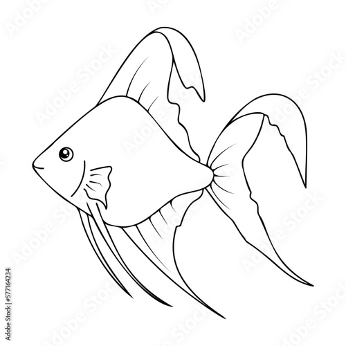 Outline Angelfish isolated on a white background. Vector image of an angel fish