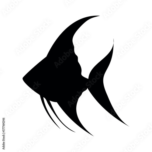 Silhouette of angelfish. Vector image of an angel fish