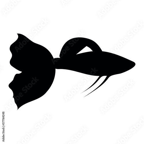 Silhouette of guppy fish. Vector image for logo, card, banners. photo
