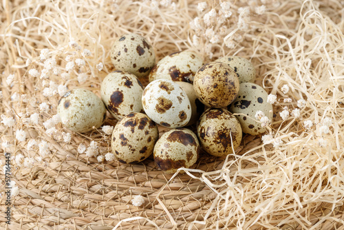 Pile of quail eggs and white dried flowers on hay background.