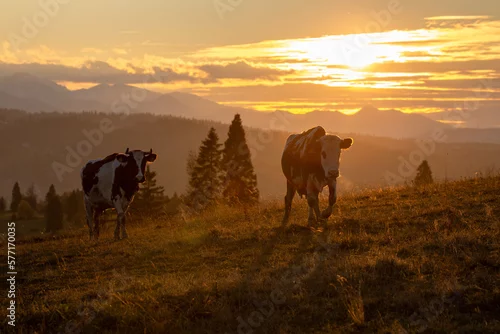 Fototapeta samoprzylepna Zachód słońca z widokiem na Tatry