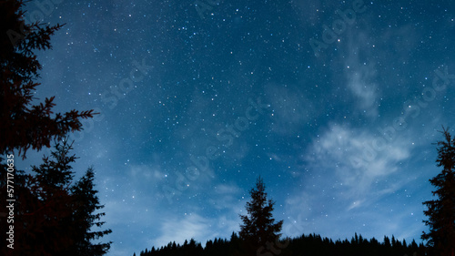 A starry night with dark skies and constellations above a coniferous forest. The spruce and pine trees appear as silhouettes in the midnight. Darkness into the mountains. © Alexandru V
