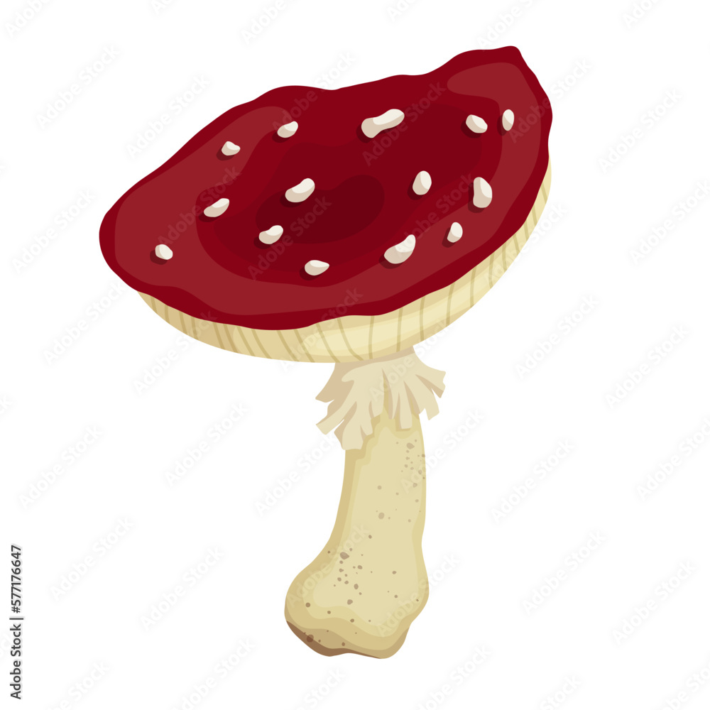Red forest mushroom fly agaric. Cartoon vector graphics. Red forest mushroom fly agaric. Cartoon vector graphics.