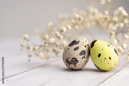 Photography easter eggs and a branch of gypsophila on a light background