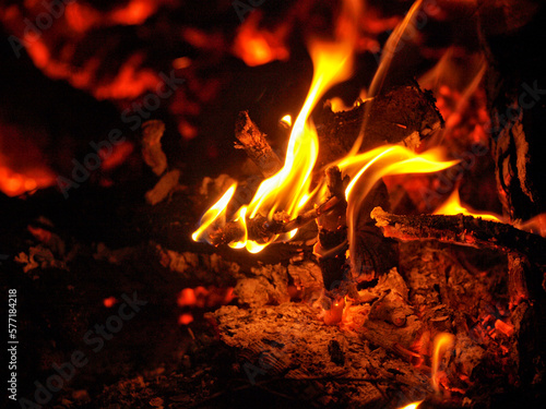 Detail of a burning branch from a bonfire.