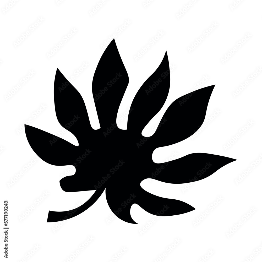 Tropical leaf on white background Tropical leaf on white background