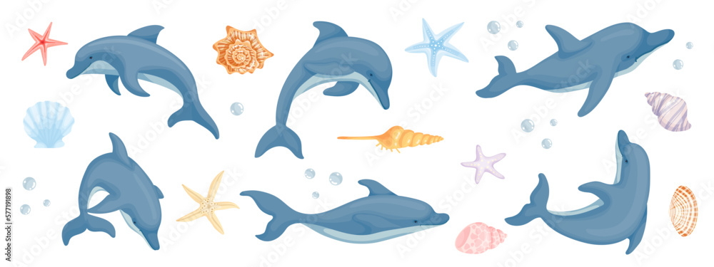 Set of aquatic mammals dolphins with starfish and various shells.Cartoon vector graphics. Set of aquatic mammals dolphins with starfish and various shells.Cartoon vector graphics.