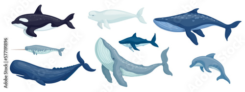 Foto Set of aquatic mammals, predatory fish.Cartoon vector graphics.