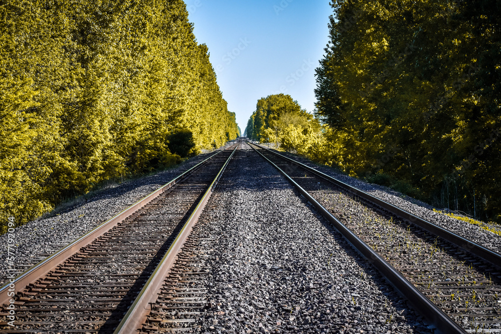 Obraz premium Two railroad tracks through the woods 