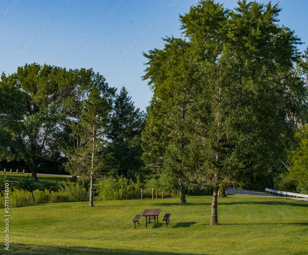 Obraz premium Picnic table under a tree