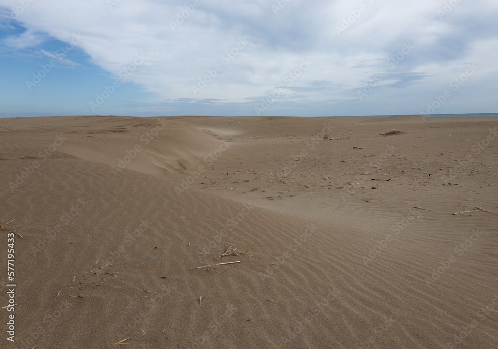 sand dunes sand dunes