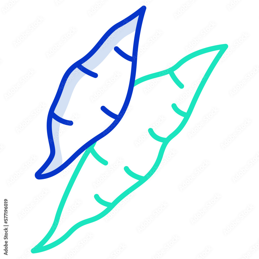 Obraz premium Yucca icon