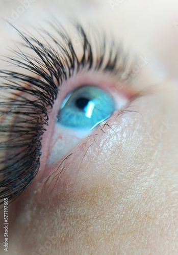 close up of eyelash extensions in beauty salon macro eye photo