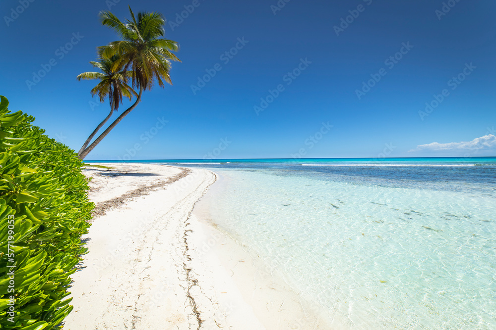 Tropical beach in caribbean sea, idyllic Saona island, Dominican Republic