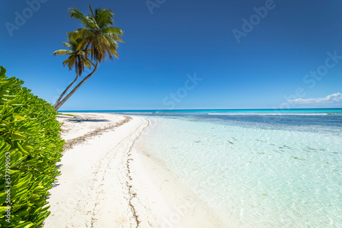 Obraz na płótnie Tropical beach in caribbean sea, idyllic Saona island, Dominican Republic w salonie