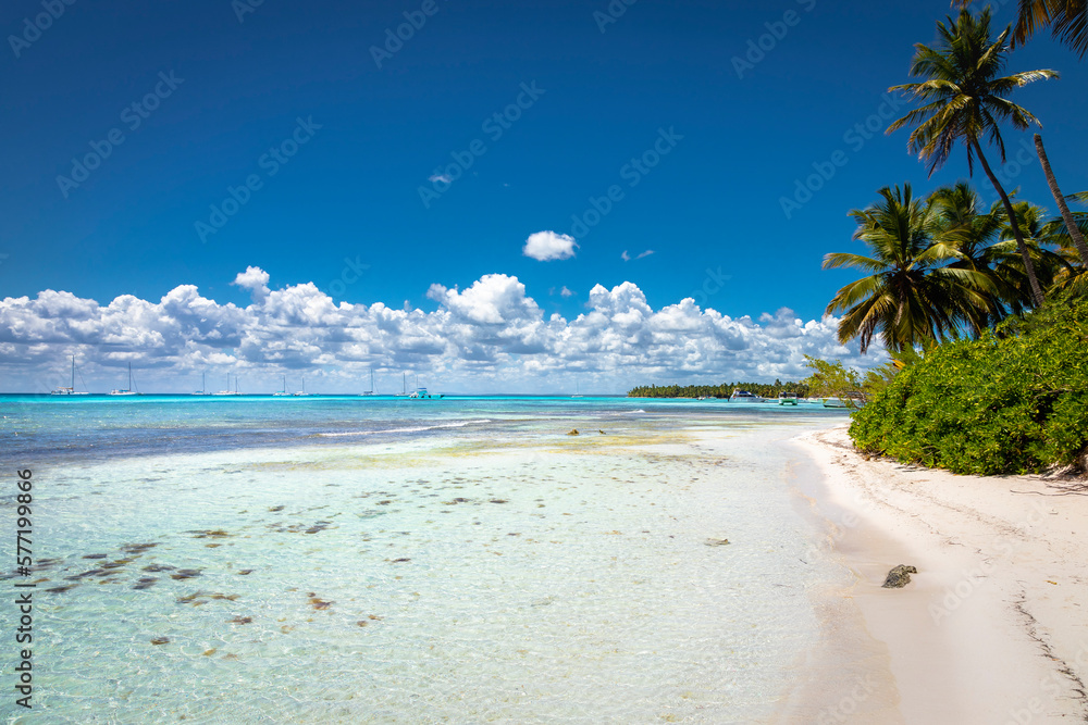 Tropical beach in caribbean sea, idyllic Saona island, Dominican Republic