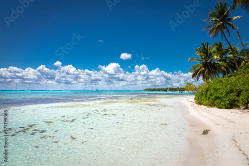 Obraz na płótnie Tropical beach in caribbean sea, idyllic Saona island, Dominican Republic w salonie
