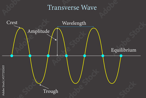 transverse wave presentation . Crest, trough, wavelength and amplitude ,vector illustration photo