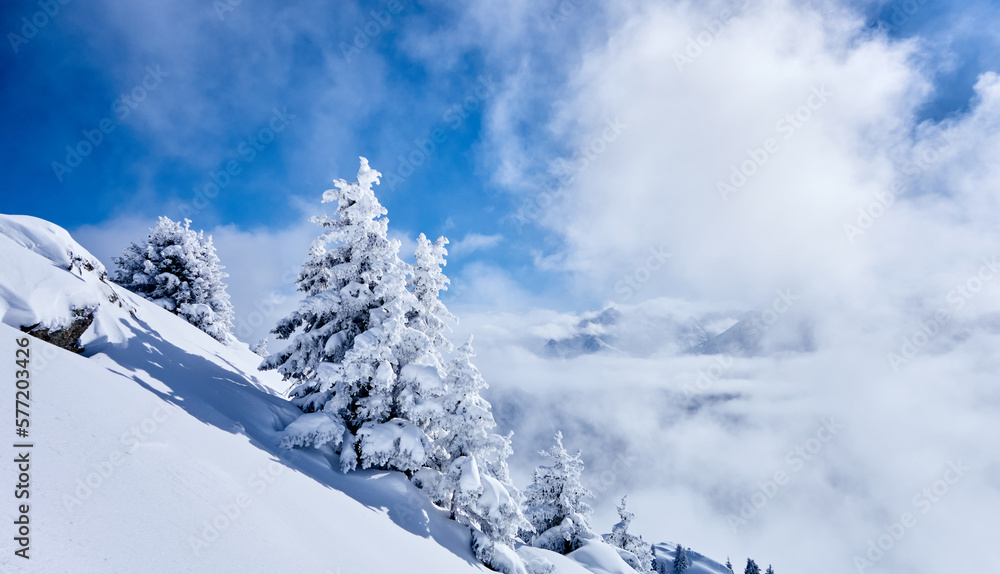 Winterlandschaft mit verschneiten Föhren. Der Nebel lichtet sich und gibt den Blick frei auf den blauen Himmel.