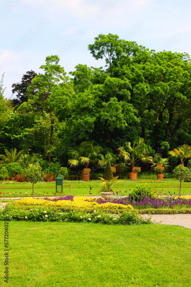 Colorful flowers and lush tree in botanical garden, in Zagreb, Croatia.