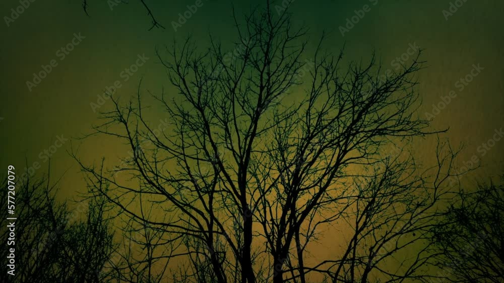 Acid Rain On Dead Forest, Pollution Scene Acid Rain On Dead Forest, Pollution Scene