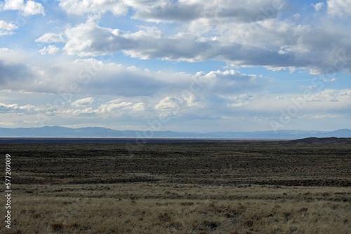 Colorado Desert Landscape