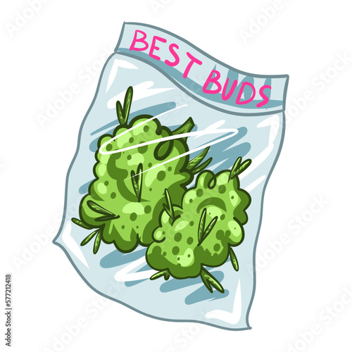 Best Buds. Cannabis cones. Marijuana Branch, Vector Illustration of Medical Weed