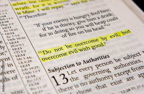 Romans chapter 12 verse 21