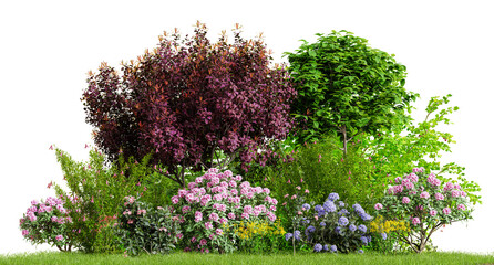 Beautiful garden plants, flower and trees isolated on transparent background. 3D render.