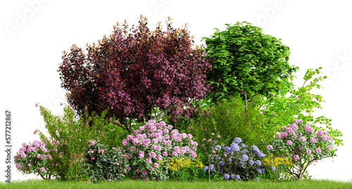 Beautiful garden plants, flower and trees isolated on transparent background. 3D render.