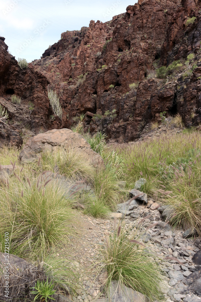 Barranco del Toro - Stierschlucht Barranco del Toro - Stierschlucht