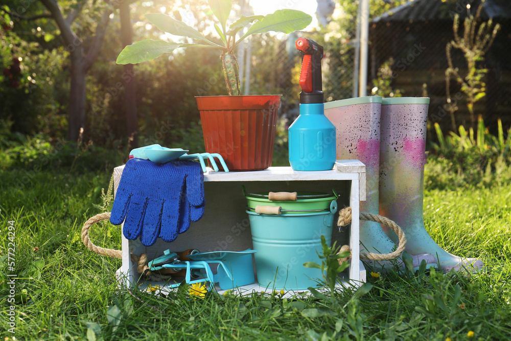 Pair of gloves, gardening tools, potted plant and rubber boots on grass outdoors