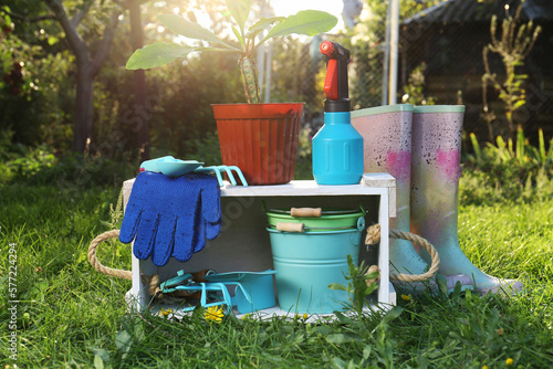 Pair of gloves, gardening tools, potted plant and rubber boots on grass outdoors