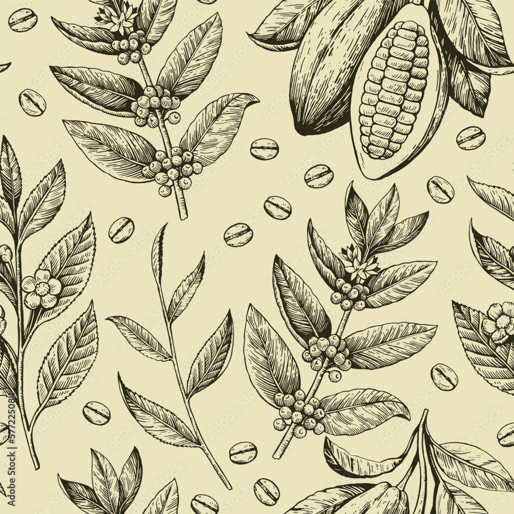 Seamless pattern with coffee beans, cacao pods and tea branches. Black ...