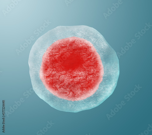 Cryopreservation of genetic material. Ovum on light blue background, frost effect