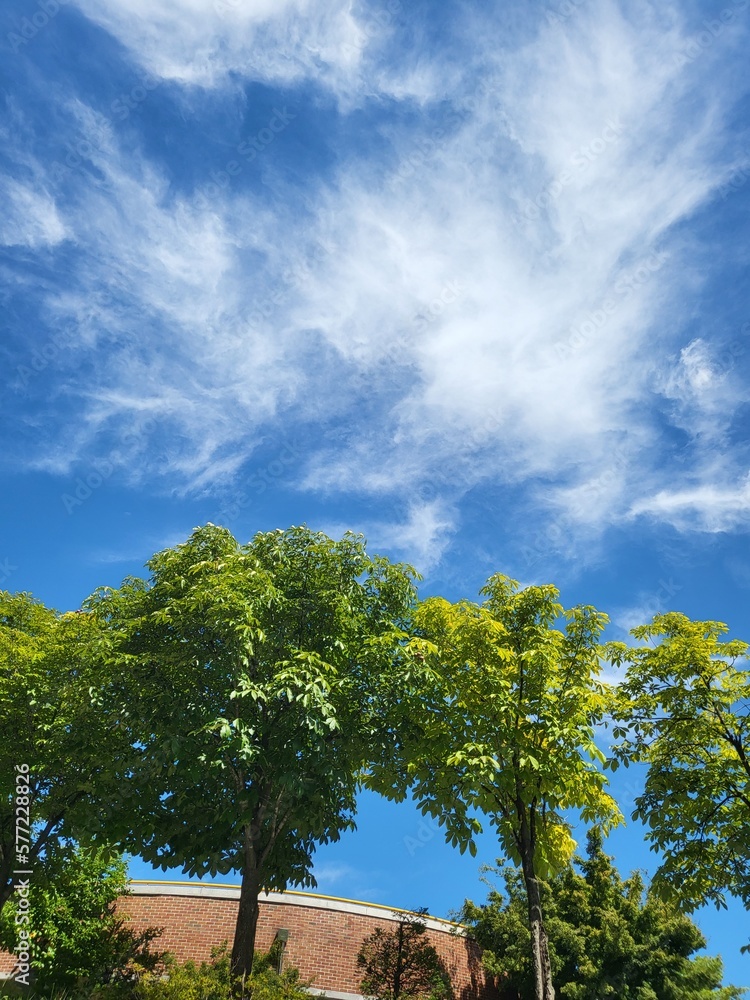 Obraz premium 풍경