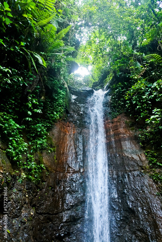 View of a waterfall in the forest