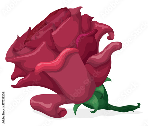 Pink rose with short stem in cartoon style over white background, Vector illustration