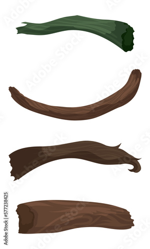 Set with four wooden twigs in cartoon style, Vector illustration