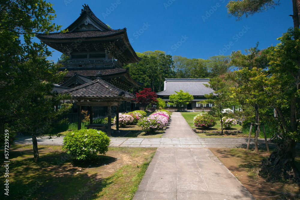 ツツジ咲く曹洞宗大本山總持寺祖院山門と僧堂