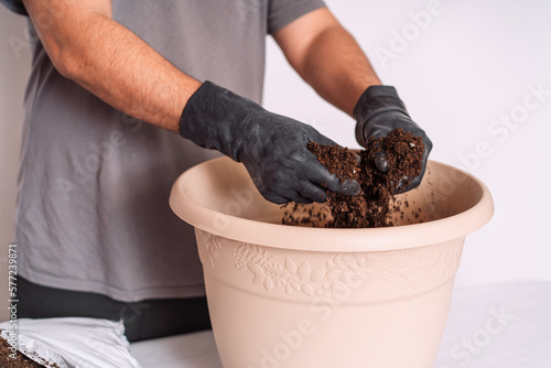 Man in black gloves pours earth into a pot for transplanting houseplants. photo