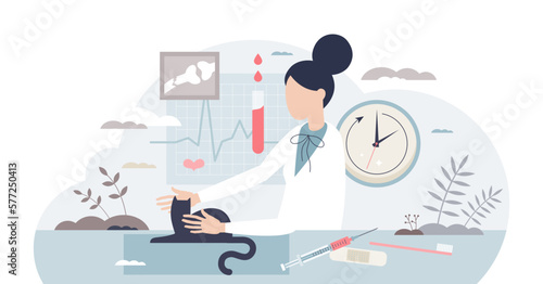 Veterinary technician work and animal healthcare doctor tiny person concept, transparent background. Pets examination and expertise job to help cats and dogs to determinate diagnosis illustration.