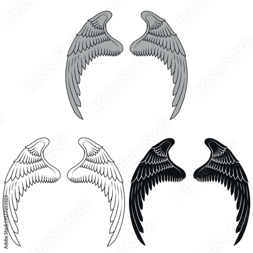 Vector design of angel wings, bird wings for decoration