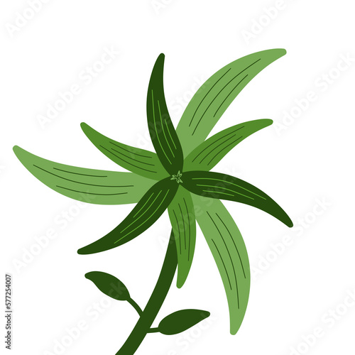 Aesthetic Leaf Simple For Decoration Ornament