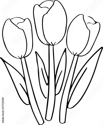 sketch flower