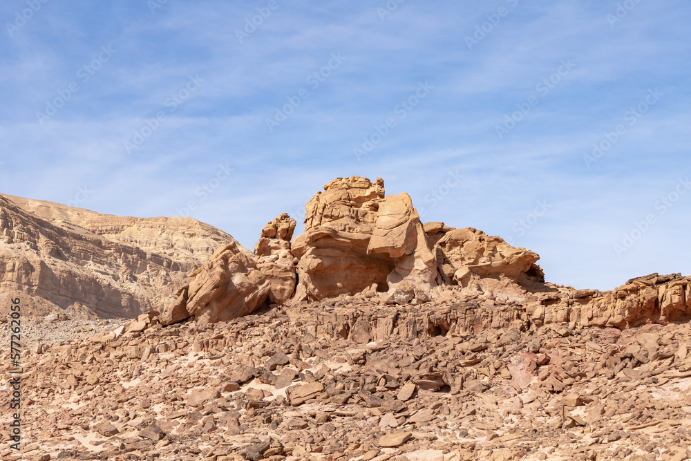 Stones  as a result of natural erosion resembling animal figures in the national park Timna, near the city of Eilat, in southern Israel