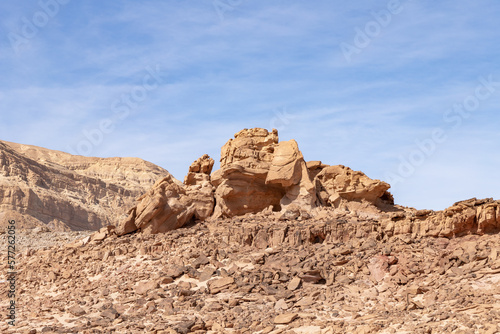 Stones as a result of natural erosion resembling animal figures in the national park Timna, near the city of Eilat, in southern Israel